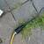 Vintage Dazor M-270 magnifying work light A170 11 thumbnail