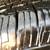 2007 Ford Taurus Sel 17 thumbnail