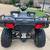 Polaris Sportsman 450 3 thumbnail