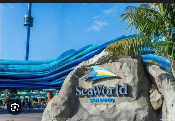 San Diego Seaworld 1