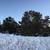 Fruitland, Utah Land for Sale 7 thumbnail