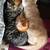 Mother tortie and her 3 babies 1 thumbnail