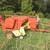 277 NH Baler and JD Hay Wagon 1 thumbnail