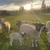 Dorper Sheep 4 thumbnail