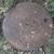Vintage 30" Large Circular Saw Blade – Rustic Farm Decor & Art Canvas 1 thumbnail