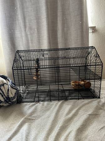 Cage (San Jose)606091224422164481