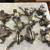 VICTOR COIL SPRING TRAPS 1 thumbnail