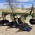 3 point John Deere 3/14’s plow 1 thumbnail