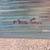 Max savvy, seaside painting 4 thumbnail