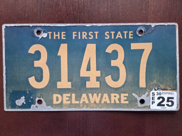 DE 5 Digit License 1