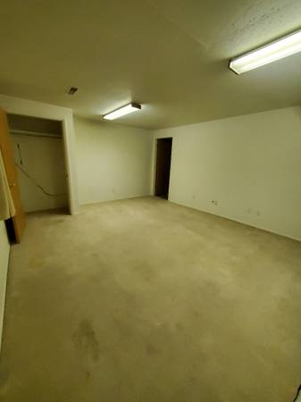 Female roommate wanted 1
