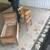 Vintage baby doll furniture 2 thumbnail
