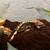Crested geckos 3 thumbnail
