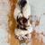 Locally grown sheep fleece/yarn 9 thumbnail