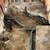 Plumber/Electrician/Remodeler 1 thumbnail