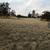 Prime 40-Acre Land for Rent: Ideal for Agriculture, Livestock 15 thumbnail