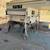 2006 Pop Up Camper Starblazer, Pine Mountain by Starcraft 1 thumbnail