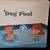 DOG POOL 1 thumbnail
