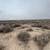 40 Acres w/ 2 AF Water Rights for sale **Price reduced** 5 thumbnail