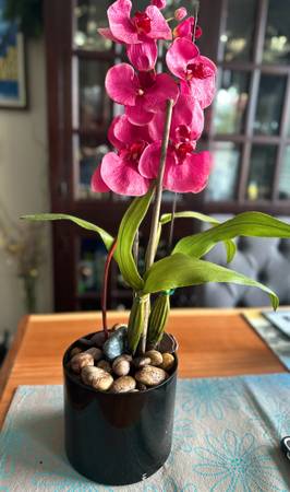 Faux Pink Orchid in black pot 1
