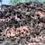 All Oak Firewood 1 thumbnail
