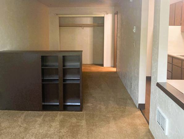 $1,125 / 350ft2 - (OLV 23) Studio w/full kitchen & bath (Eugene)63977276309379120