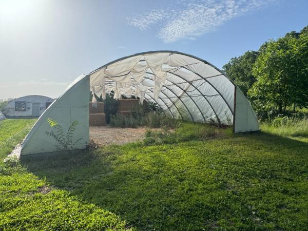 75ft. Greenhouse 1