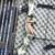 Darton Archery Compound Bow Set With Carrying Case Vintage 6 thumbnail