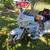 2008 Goldwing Trike, 48,550 odo 5 thumbnail