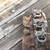 58 Pontiac tri power with carbs 389 2 thumbnail