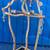Macaw parrot perch - custom made ! A great socializer for mr Birdee !! 3 thumbnail
