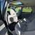 2011 Subaru Forester Premium 13 thumbnail