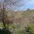 1 Bedroom 600 SF on large property, views of Hillside and City 17 thumbnail