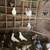 Pigeons 8 thumbnail