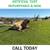 Save Big on Recycled Artificial Turf – Quality Grass for $0.59/Sqft! 1 thumbnail