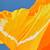Alex Nizovsky - Californian Poppy #2 - Modern Floral Art USA 18"x24" 3 thumbnail