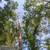 Maintenance/handyman/preservation crew for foreclosed properties 1 thumbnail