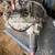 1999-2003 Silverado 1500 4l60e transfer cases 2 thumbnail