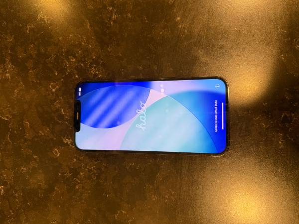 Apple  12 Pro Max- unlocked 1