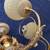 Beautiful Six Light & Globes Brass Chandelier 5 thumbnail