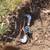 Sprinkler repair, installation,landscaping,lawn maintenance 22 thumbnail