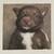 *** 1 1/2Yr Old Chocolate Lab*** 6 thumbnail