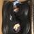 Mens Skechers Go-run Lite Sneakers Size 9 New in Box 4 thumbnail