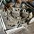 Multiple carburetors 9 thumbnail