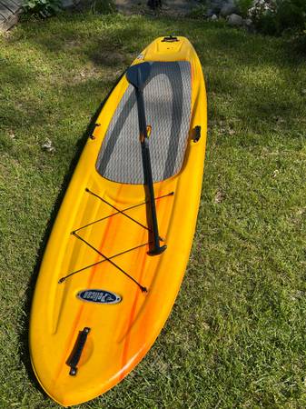 Paddle Board 1