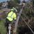 🌳MIKE GALLO GARDENING AND TREE SERVICE 8 thumbnail