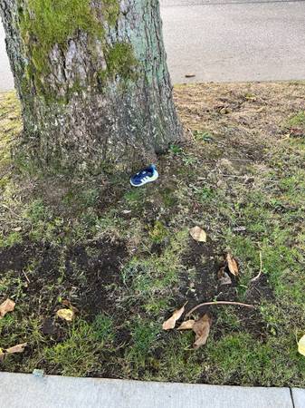 found shoe 1