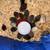 Quail chicks 3 thumbnail
