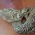 Vintage Wood Carving of Chinese Dragon 2 thumbnail