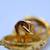 18k Cufflinks, French, circa 1890's. 2 thumbnail